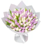 101 Розово-белый тюльпан